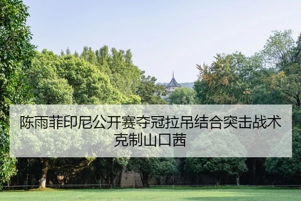 chen-yu-fei-yin-ni-gong-kai-sai-duo-guan-la-diao-jie-he-tu-ji-zhan-shu-ke-zhi-shan-kou-qian-2-834.jpg